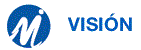 Vision Vision